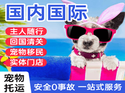 包头机场物流国际宠物托运 【国